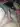 Advertisement (8658955) - Dambitis11563 4