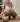 Advertisement (8802768) - thisday121 2