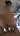 CherijsCherijs