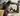 Advertisement (8507136) - Pas4you 3