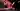 Advertisement (8822515) - LoverBoyXXX 5