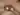 kkkaspars