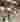 Advertisement (8569625) - Masseur84 2