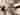 Advertisement (8568047) - CoupleOfOak 3