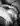 ElvisE