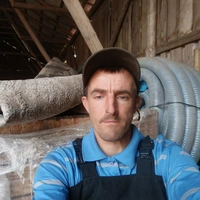 Edijs