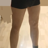 Gribos33