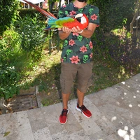 Neznez