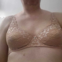 Lauratrans