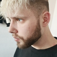 Blondais 1995