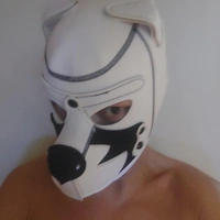Gaypuix
