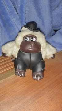 Gospozha12