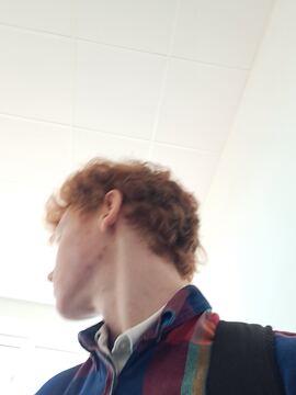 rinijs