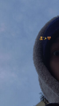Tedster