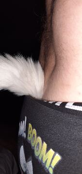 Foxyboy